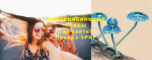 крисы Нея