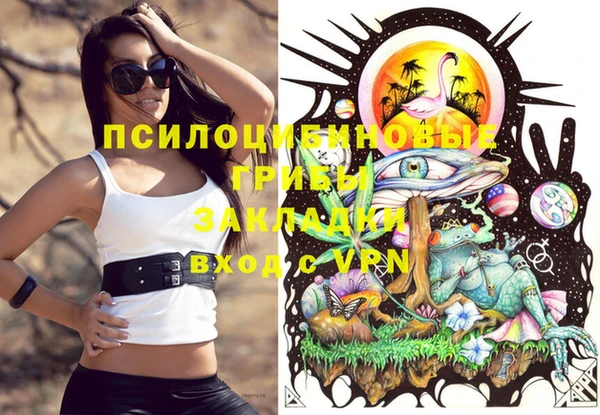 крисы Нея
