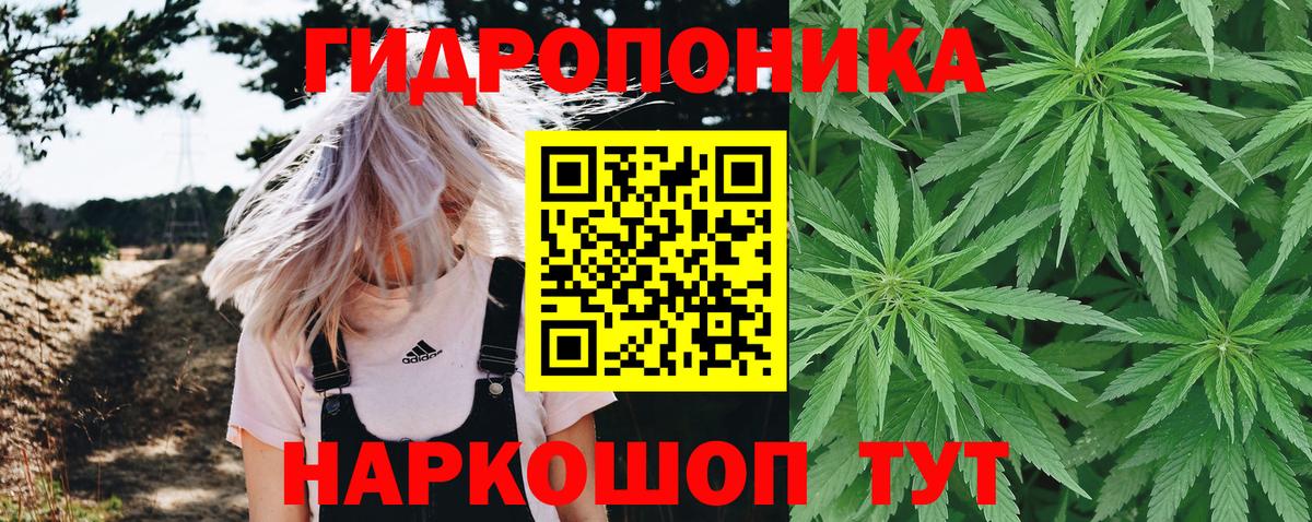 Канабис марихуана  Канабис сатива  Вход с VPN  Стерлитамак  МАРИХУАНА марихуана 
